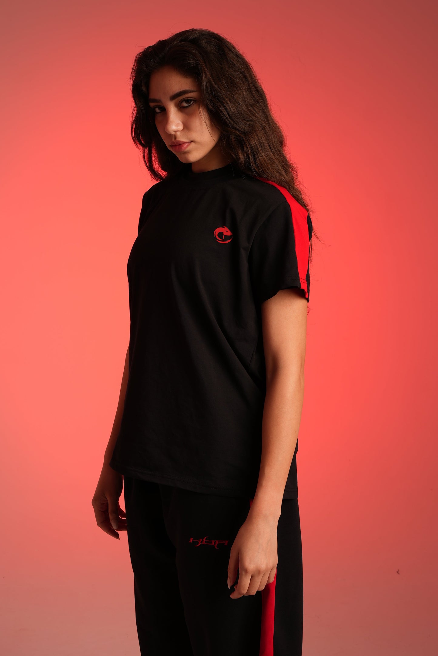 Black Paneled Tshirt (HER)