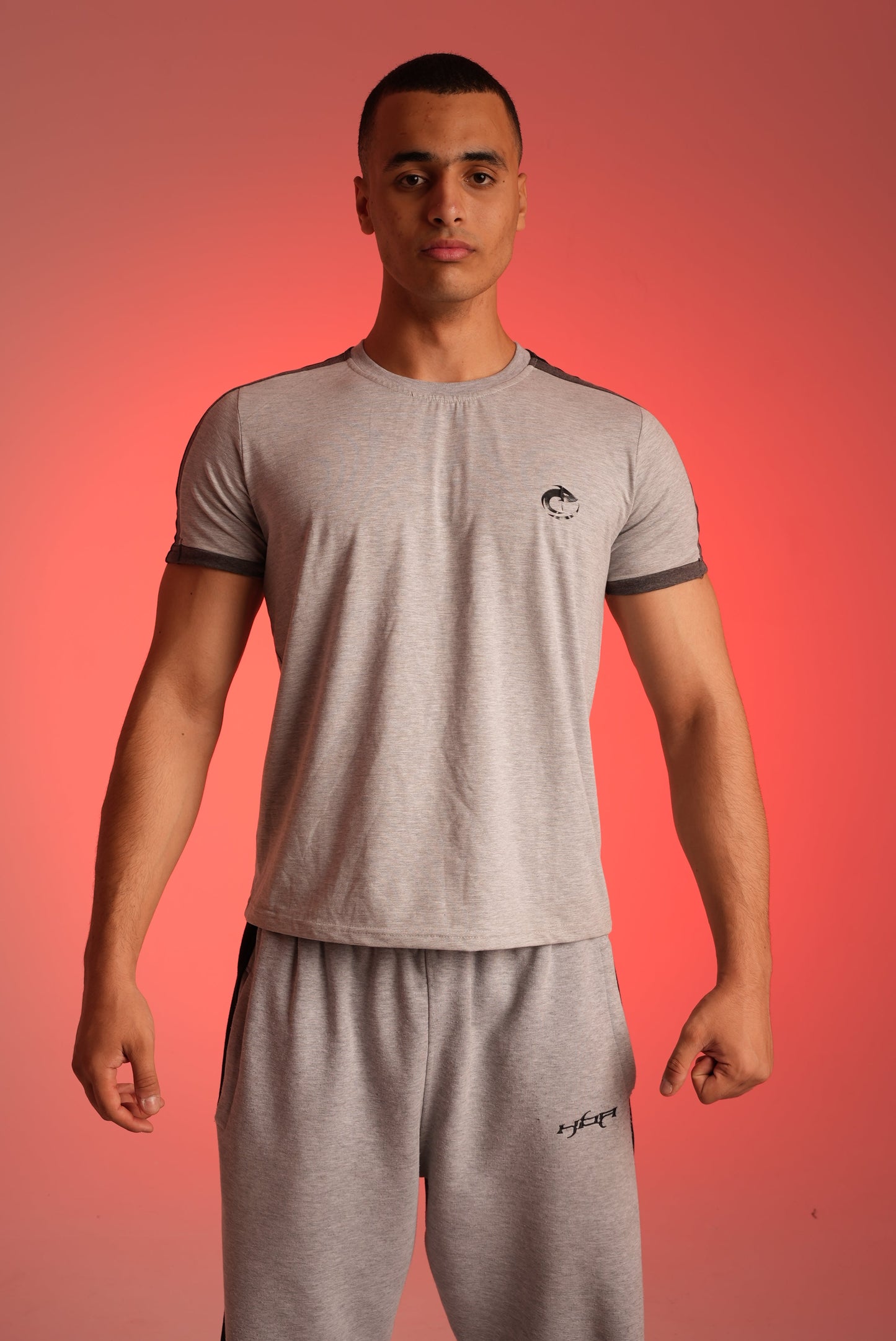 Grey Paneled T-shirt