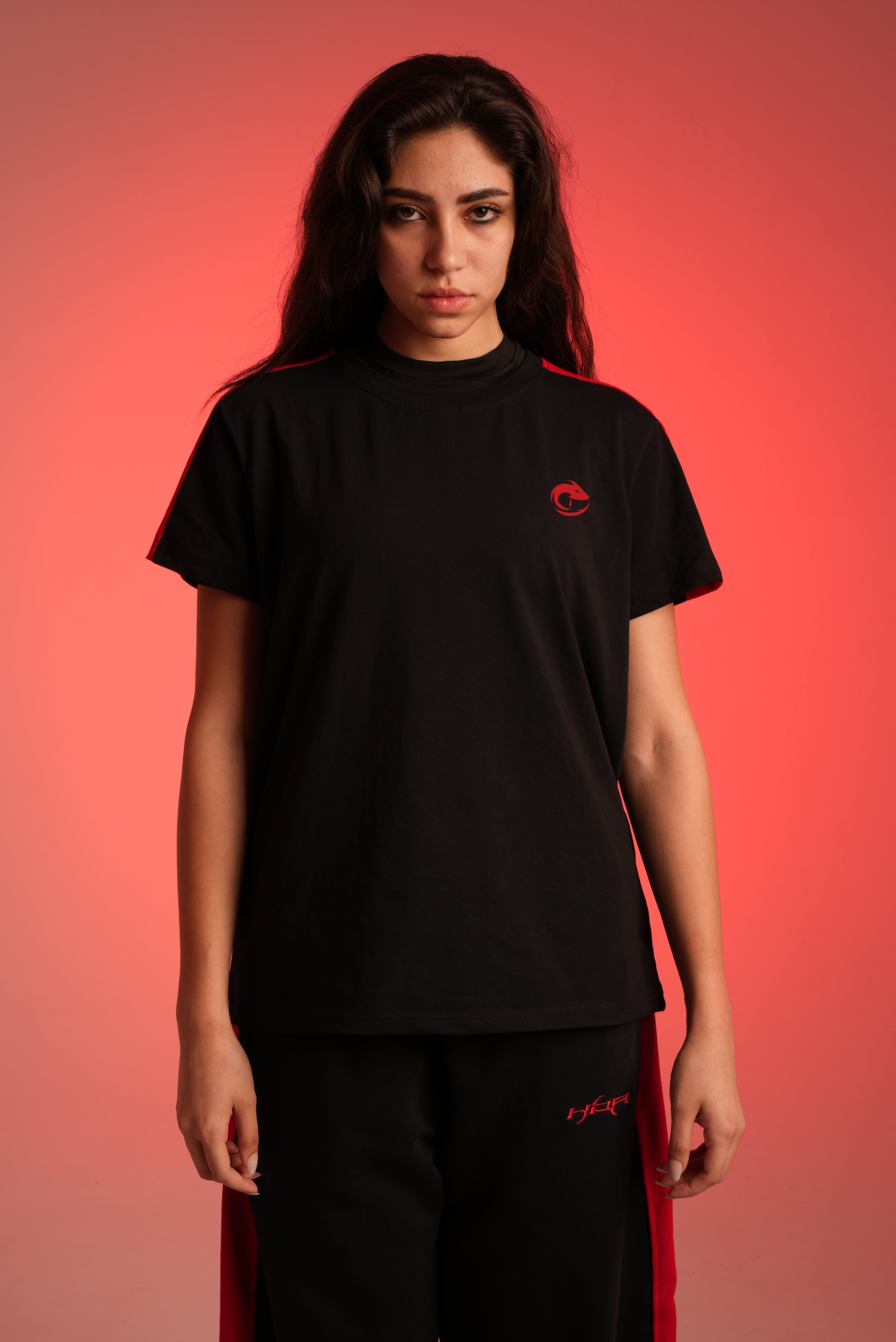 Black Paneled Tshirt (HER)