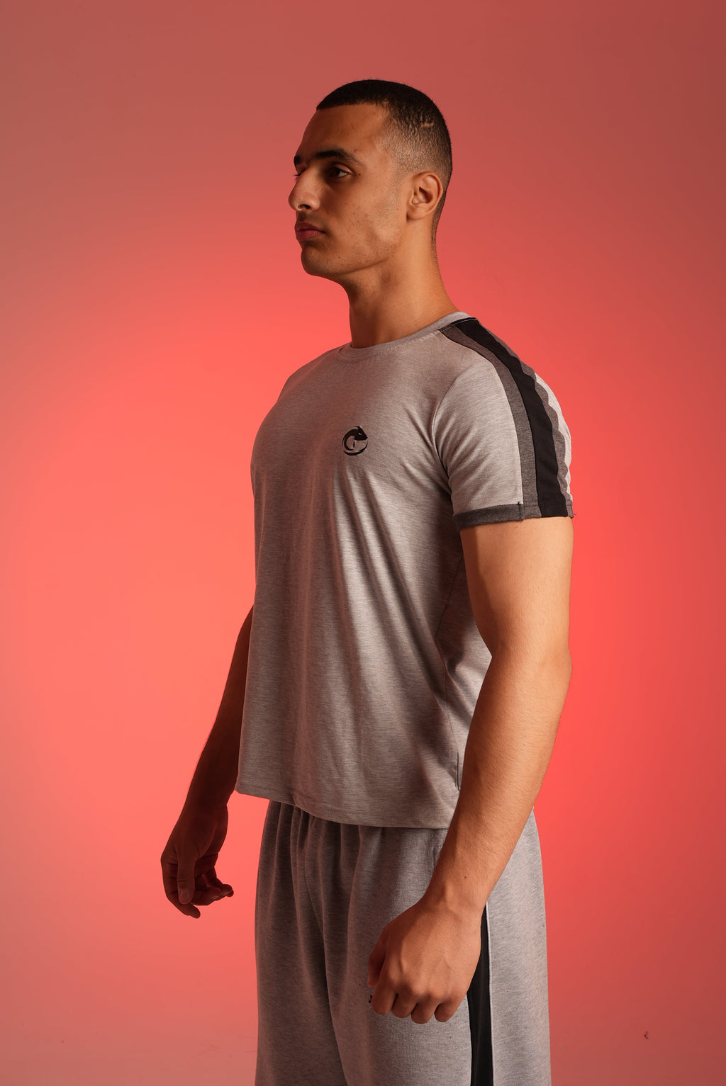 Grey Paneled T-shirt