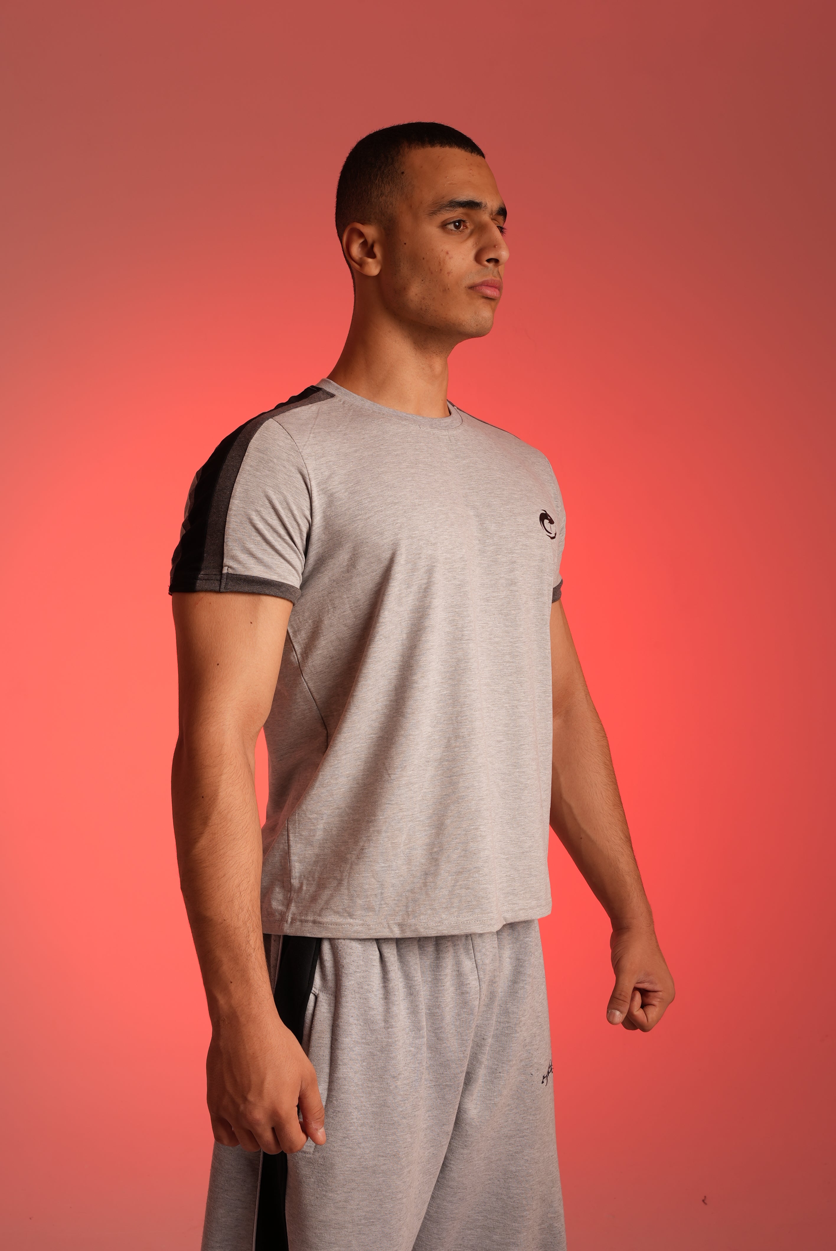 Grey Paneled T-shirt