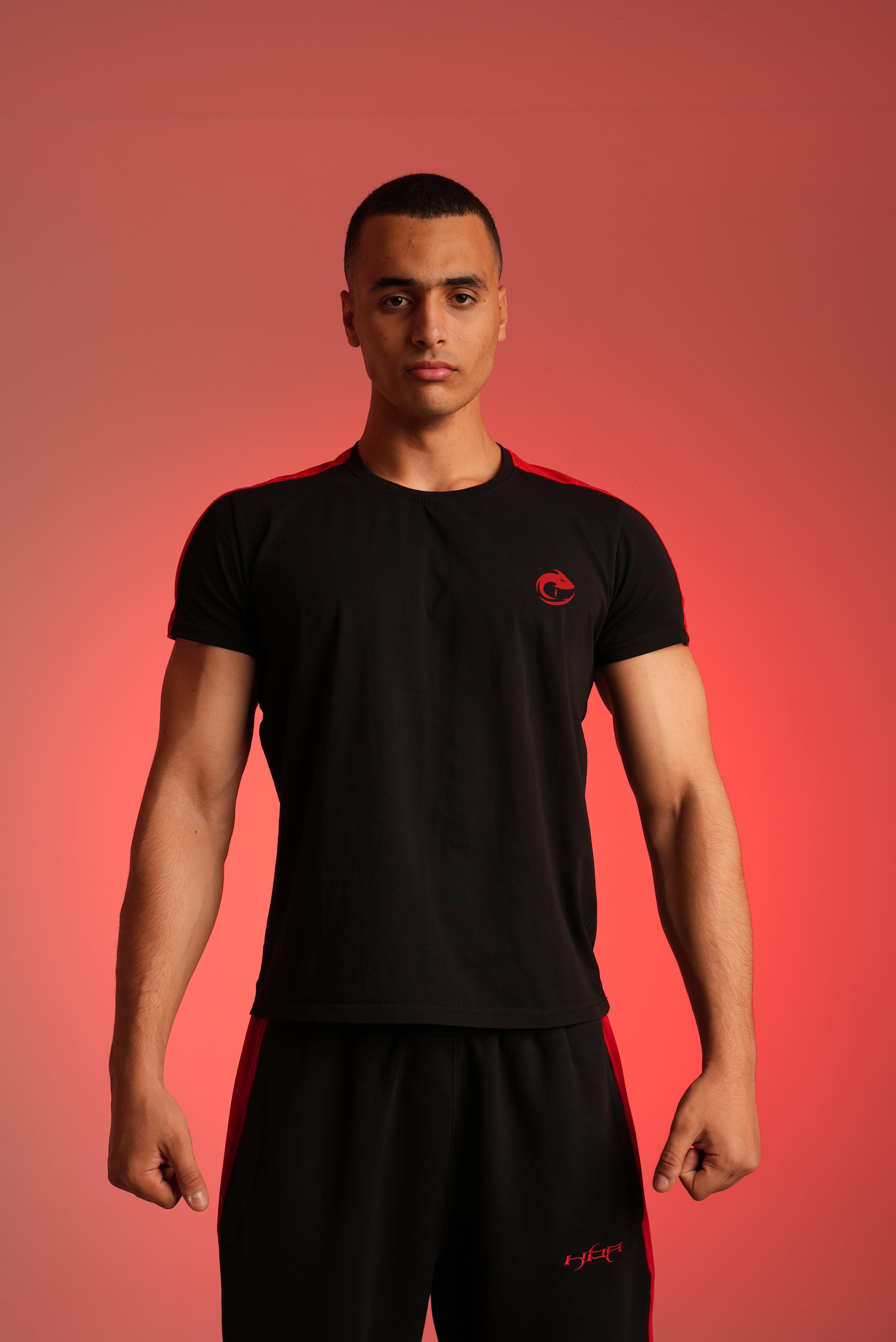 Black Paneled Tshirt