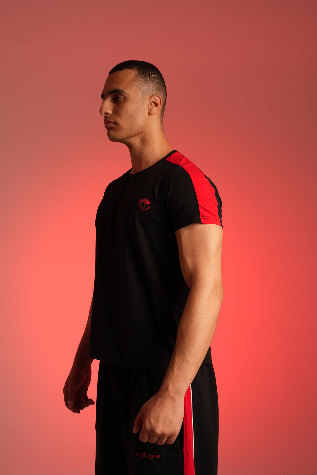 Black Paneled Tshirt