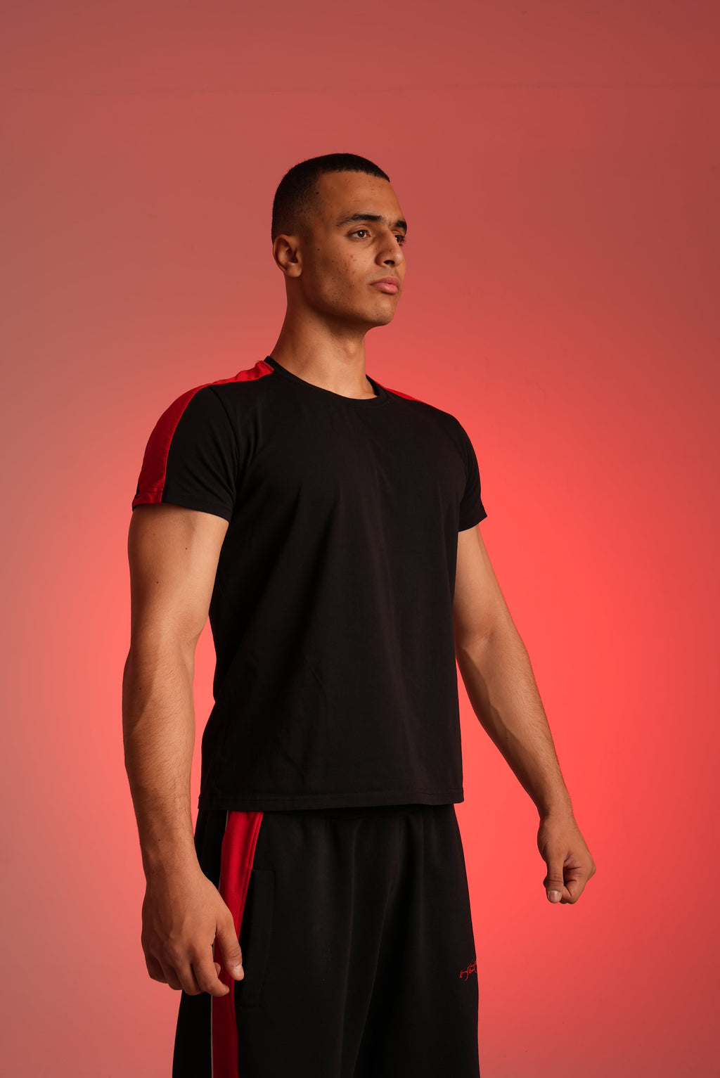 Black Paneled Tshirt